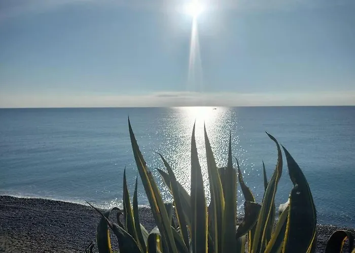 Apartment Martina House